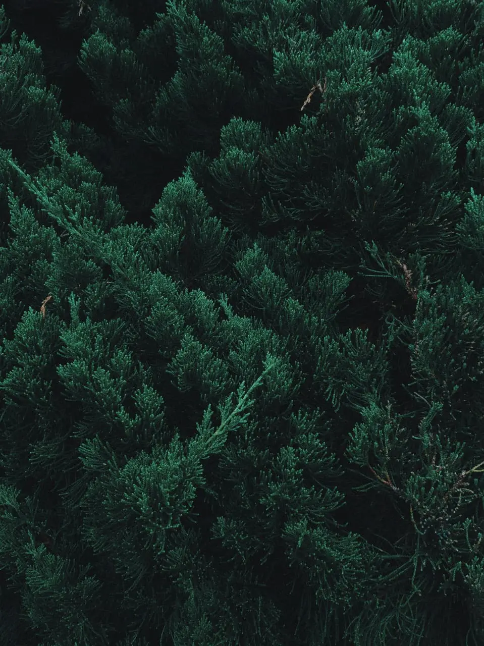 Quote background