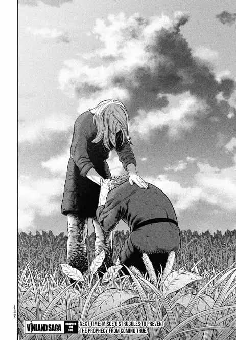 Anime - Vinland Saga